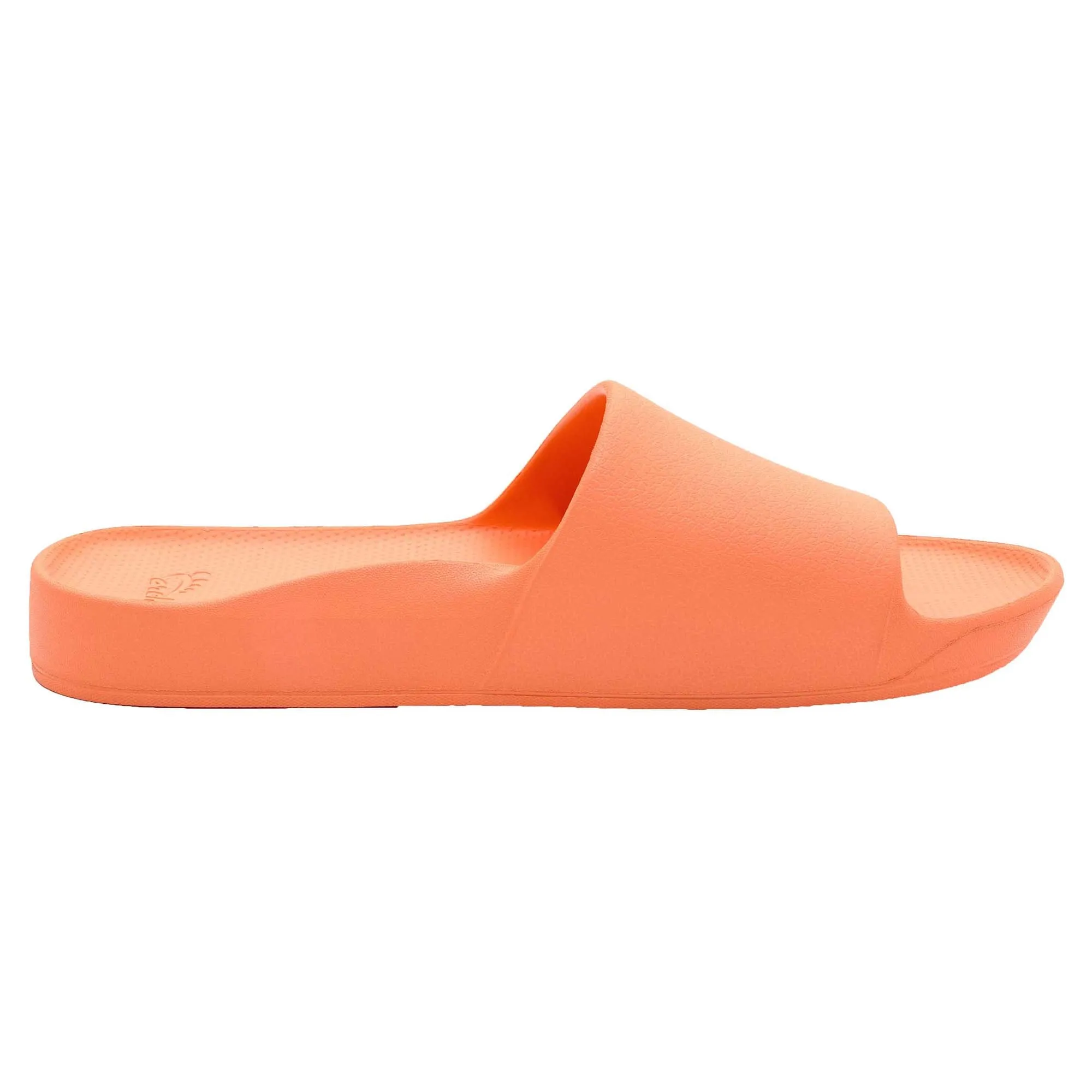 Arch Support Slides Light Arch