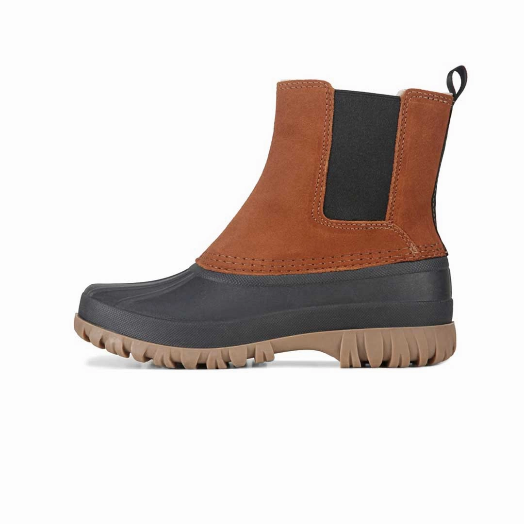 Anti Odor Daily Walks Cougar - Women's Cola Suede Boots (COLA-BLKTOB)