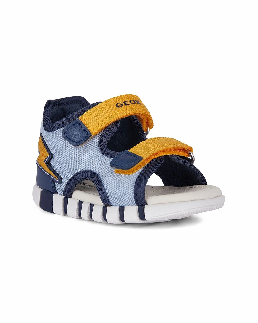 Elegant All Daywear Geox Lupidoo Sneaker