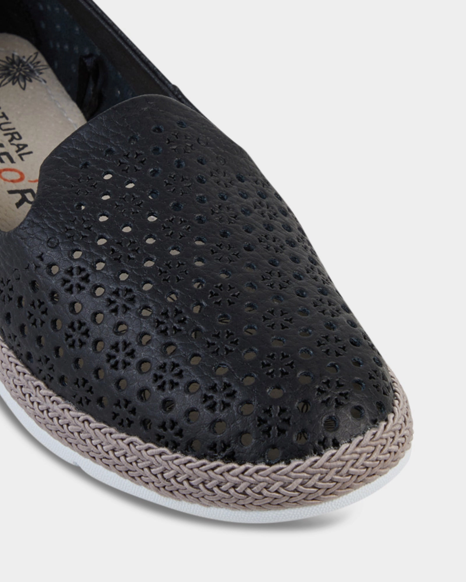 Season Free All Day New Jody Black