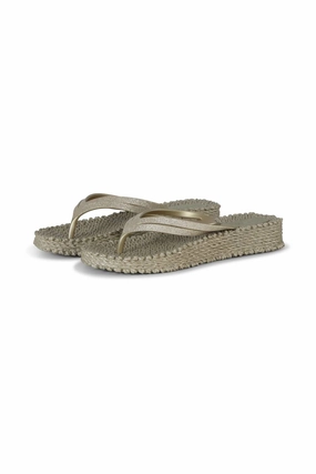 Cheerful Platform Flip Flops In Platinum Chill Shoes
