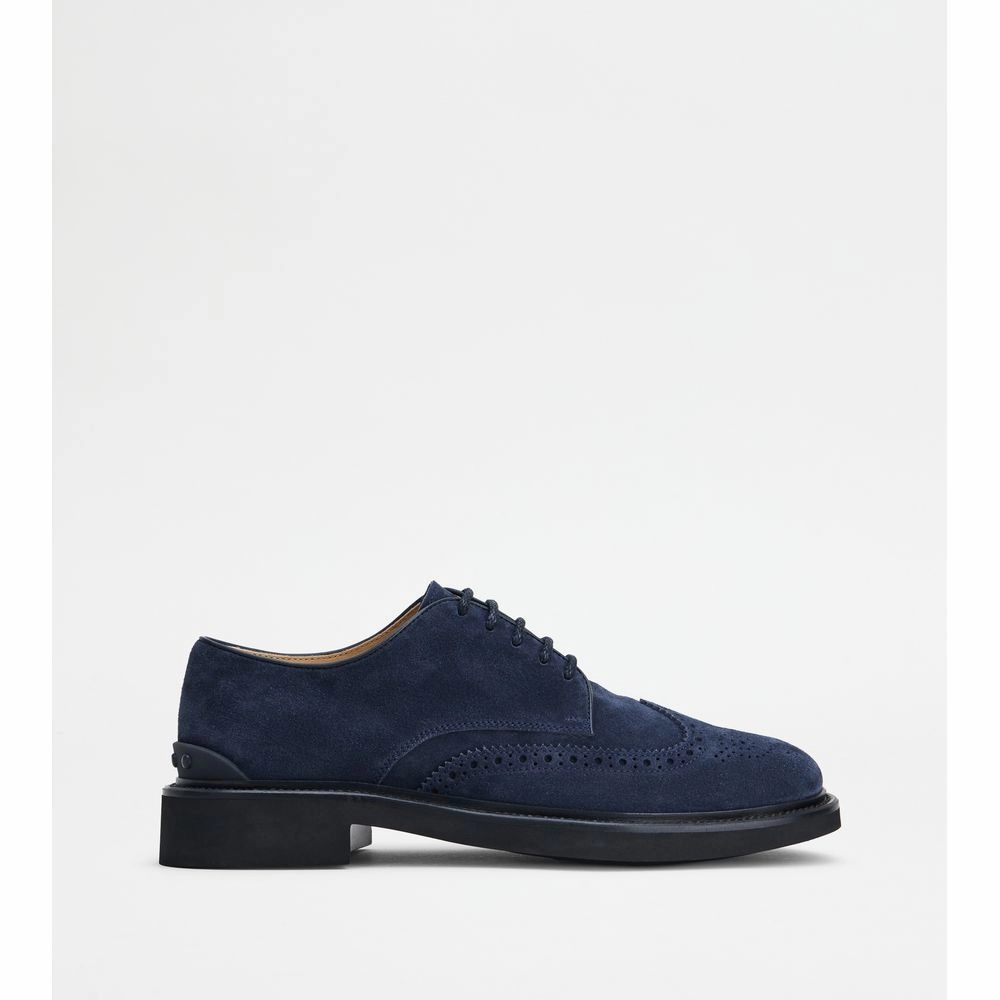 Lace-ups in Suede sweat - management - feature shoes